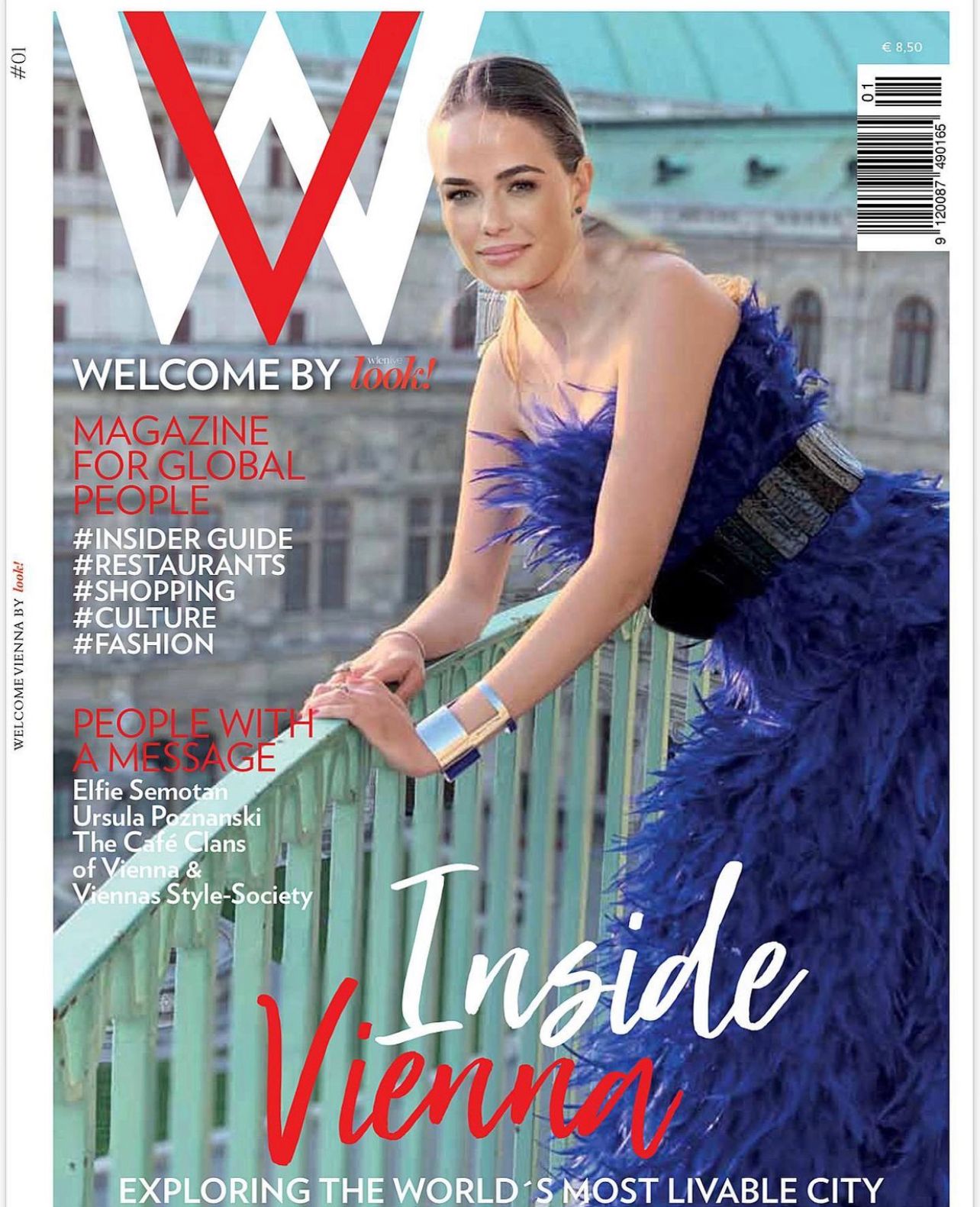 Inside Vienna Cover